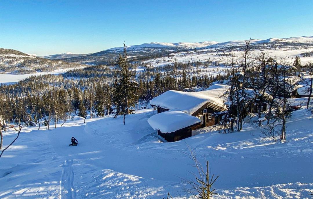 Photo of Others in Vikberget