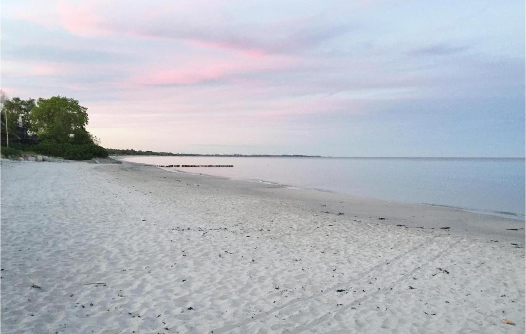 Photo of Others in Beddingestrand
