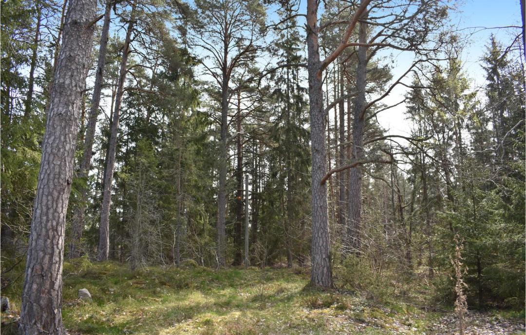 Photo of Others in Soderkoping Municipality