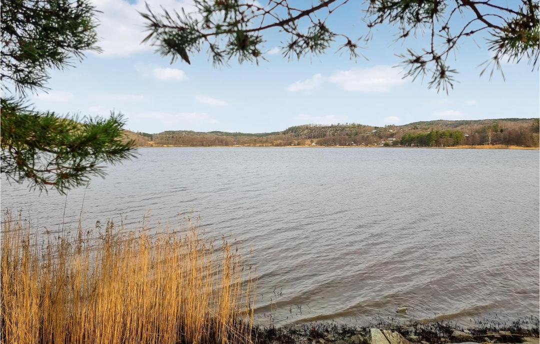 Photo of Others in Uddevalla Municipality