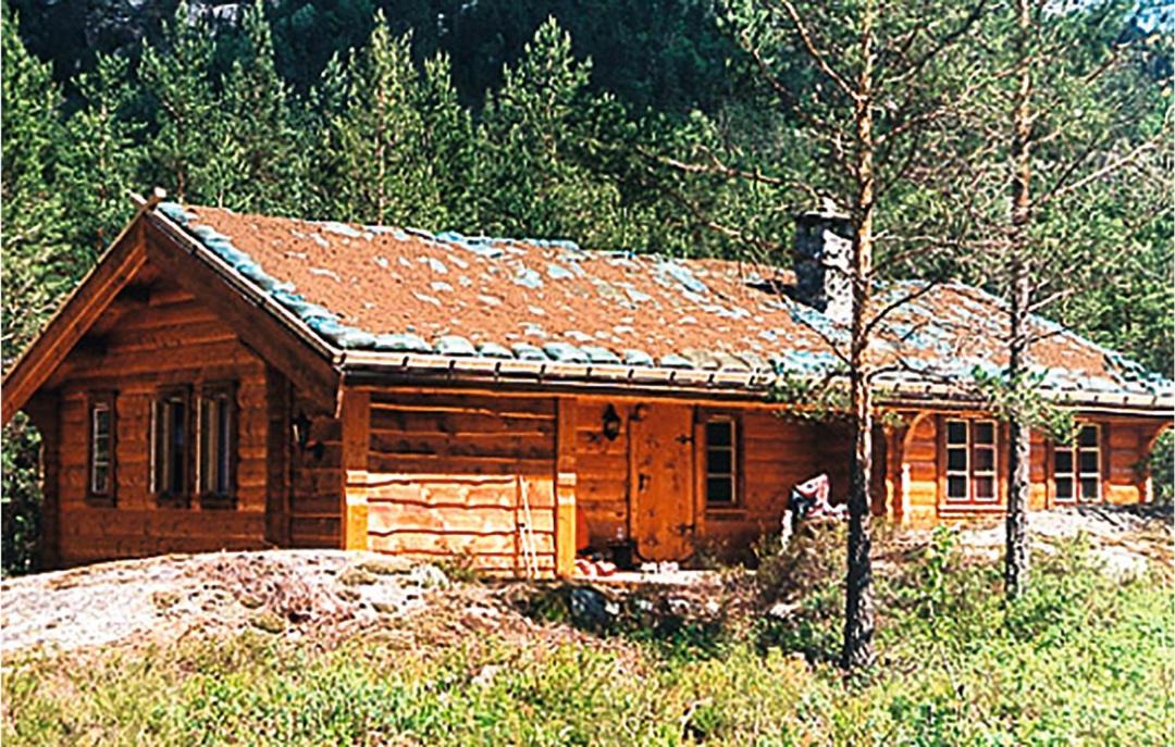 Photo of Others in Øvre Ramse