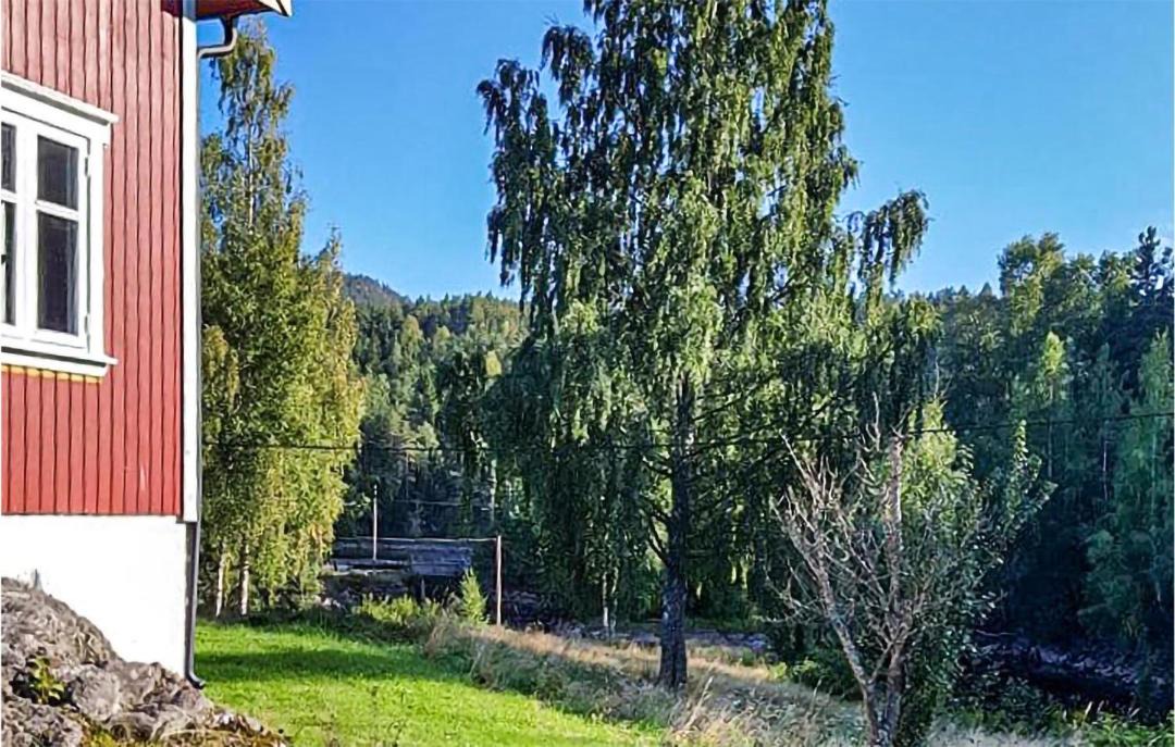 Photo of Others in Drangedal