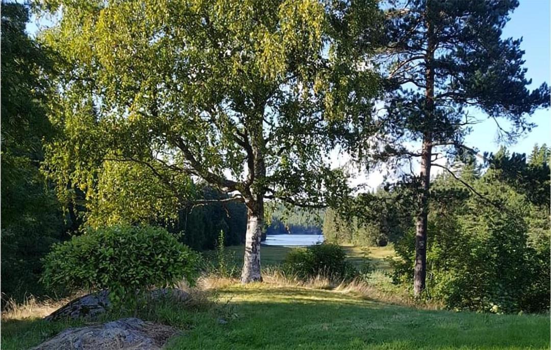 Photo of Others in Drangedal