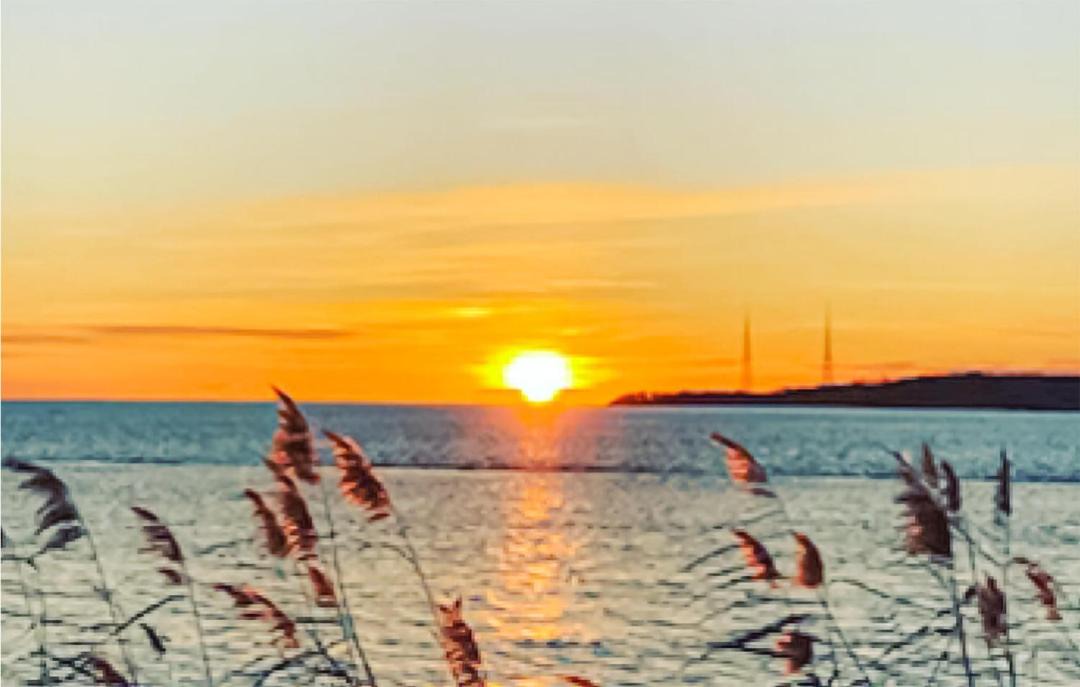 Photo of Others in Solvesborg
