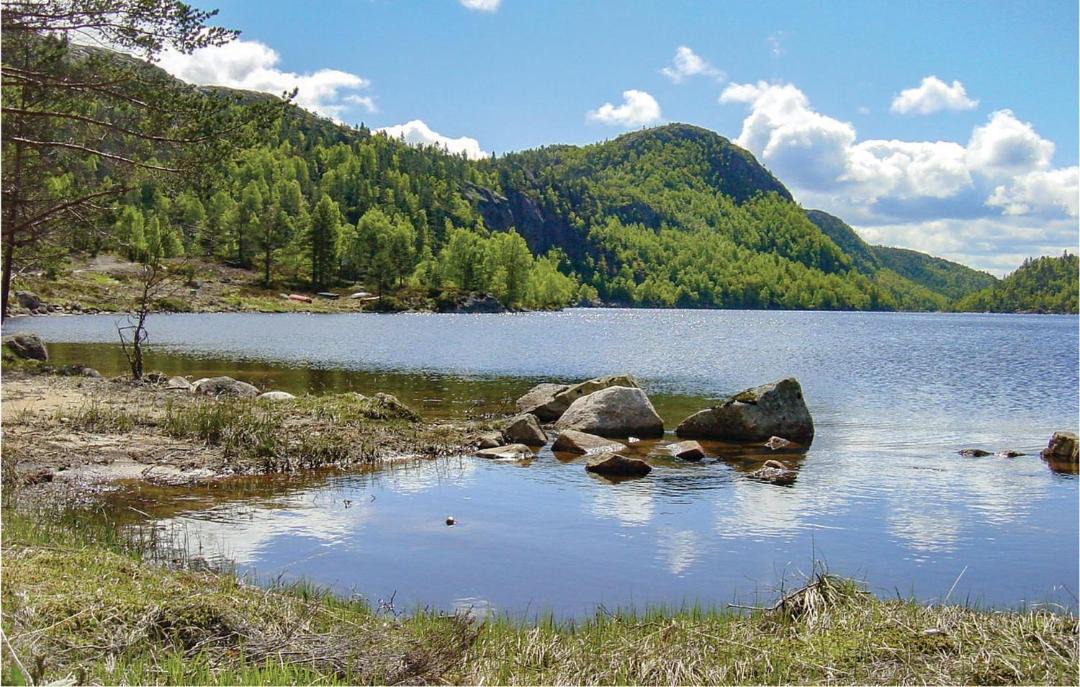 Photo of Others in Kvinesdal