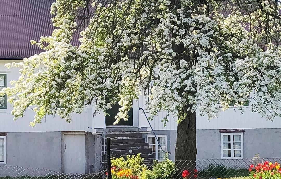 Photo of Others in Kopingsvik