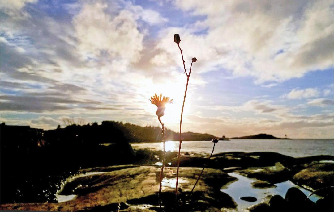 Photo of Others in Vallersund