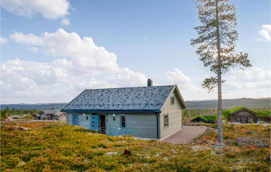 Photo of Buildings in Trysil