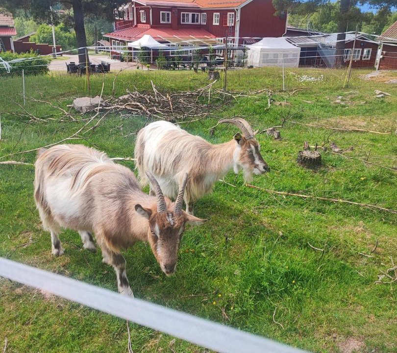 Photo of Others in Leksand