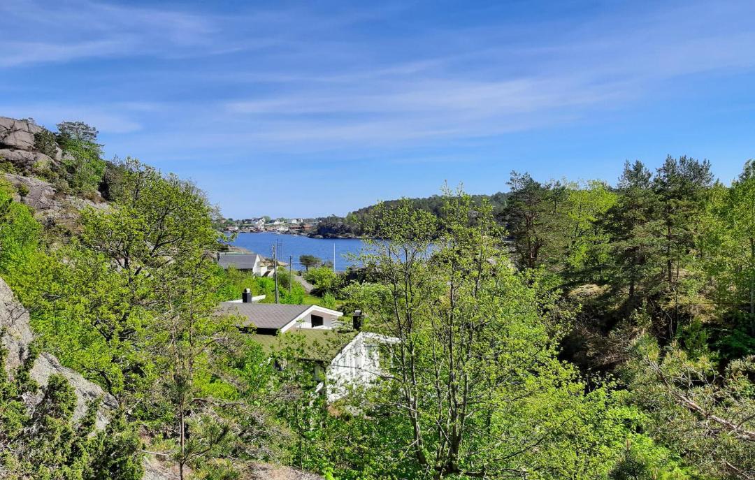 Photo of Others in Tvedestrand