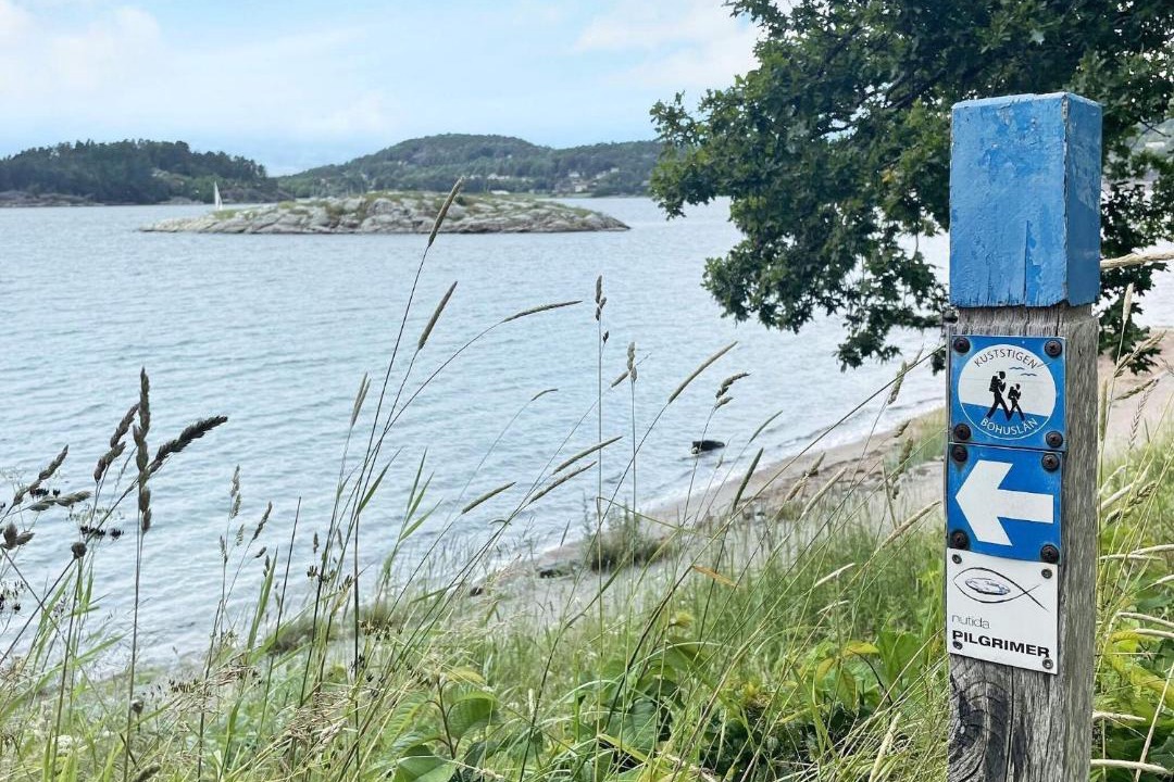 Photo of Others in Ljungskile