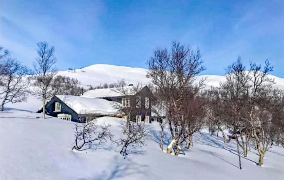 Photo of Others in Oppdal