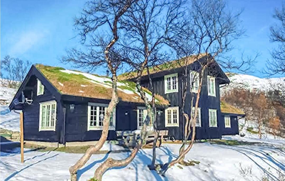 Photo of Others in Oppdal