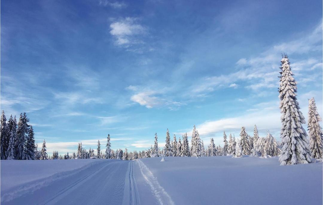 Photo of Others in Sjusjoen