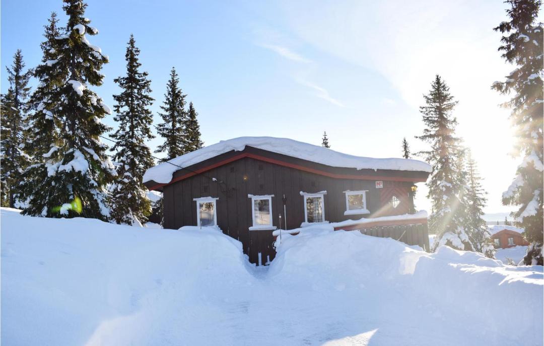 Photo of Others in Sjusjoen