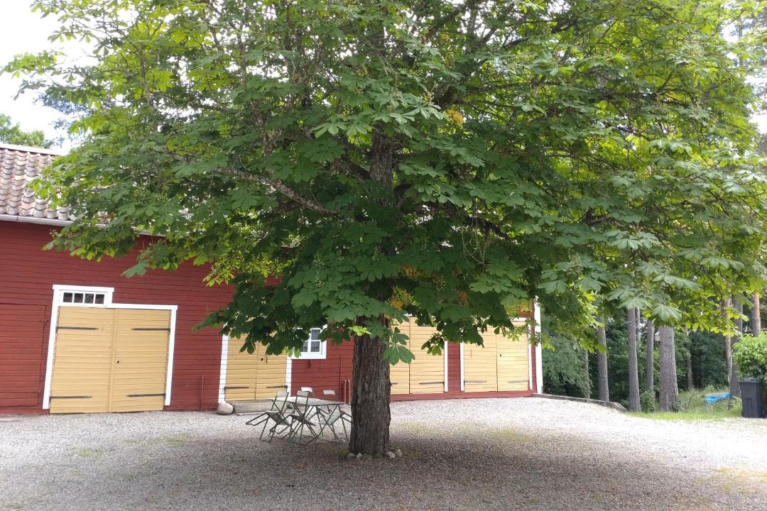 Photo of Others in Vingaker