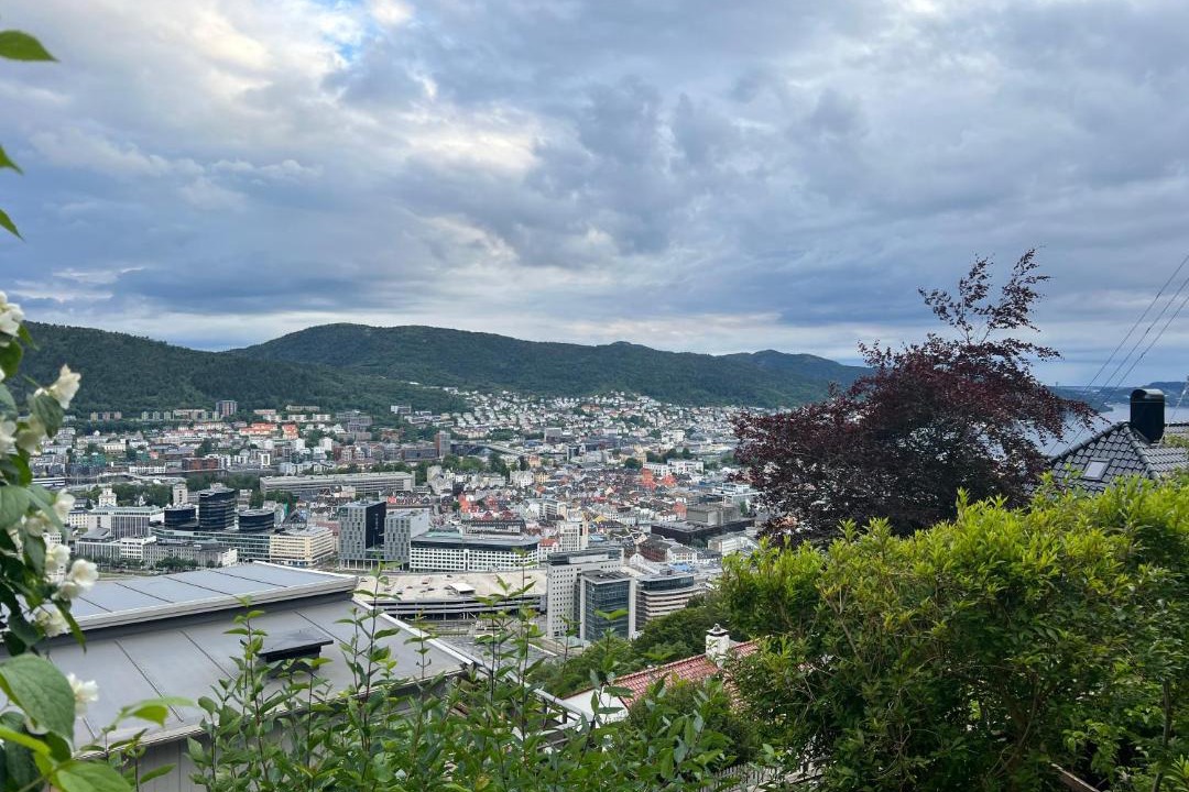 Photo of Others in Bergen City Centre