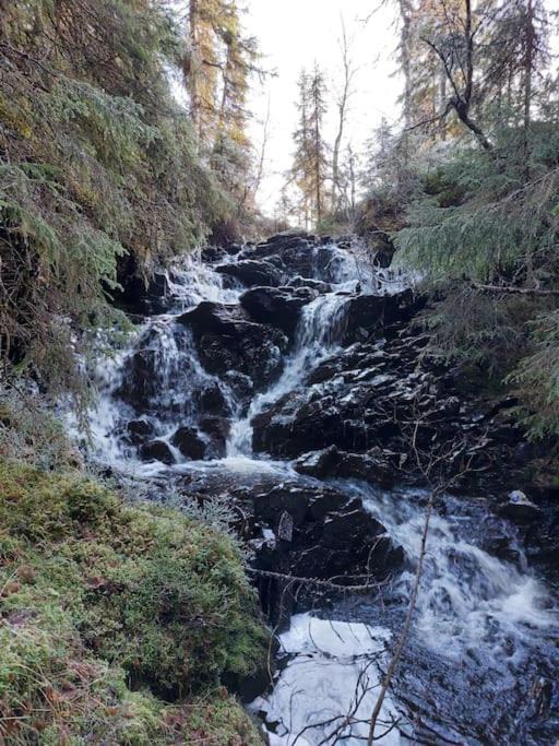 Photo of Others in Trondelag