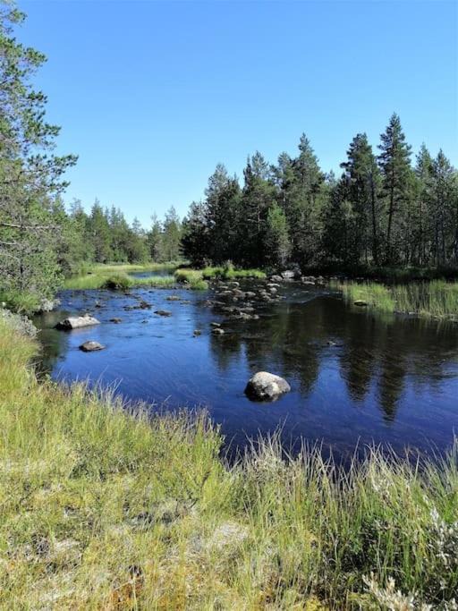 Photo of Others in Trondelag