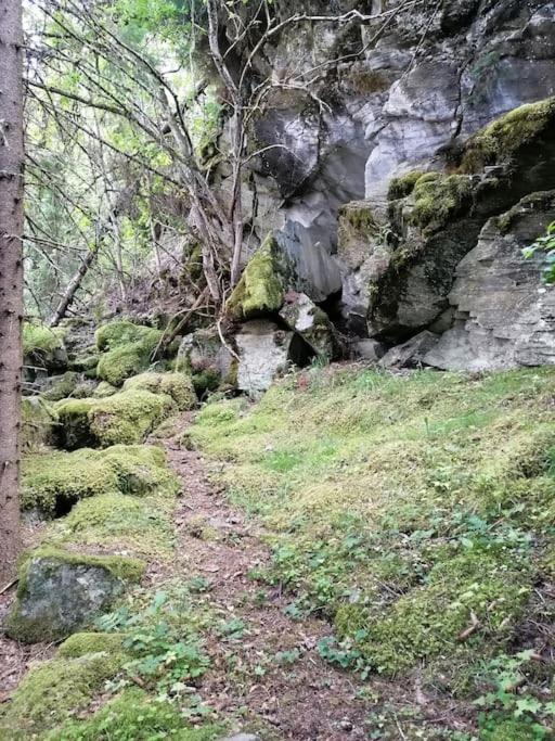Photo of Others in Trondelag