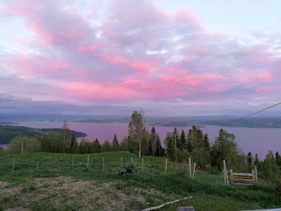 Photo of Others in Trondelag