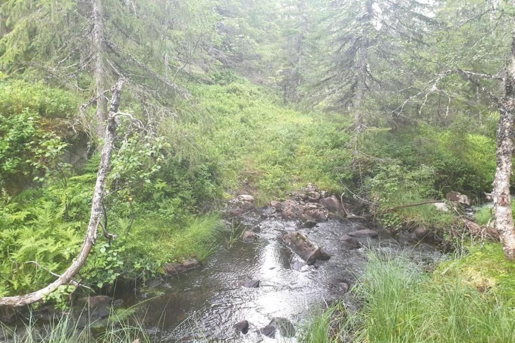 Photo of Others in Trondelag