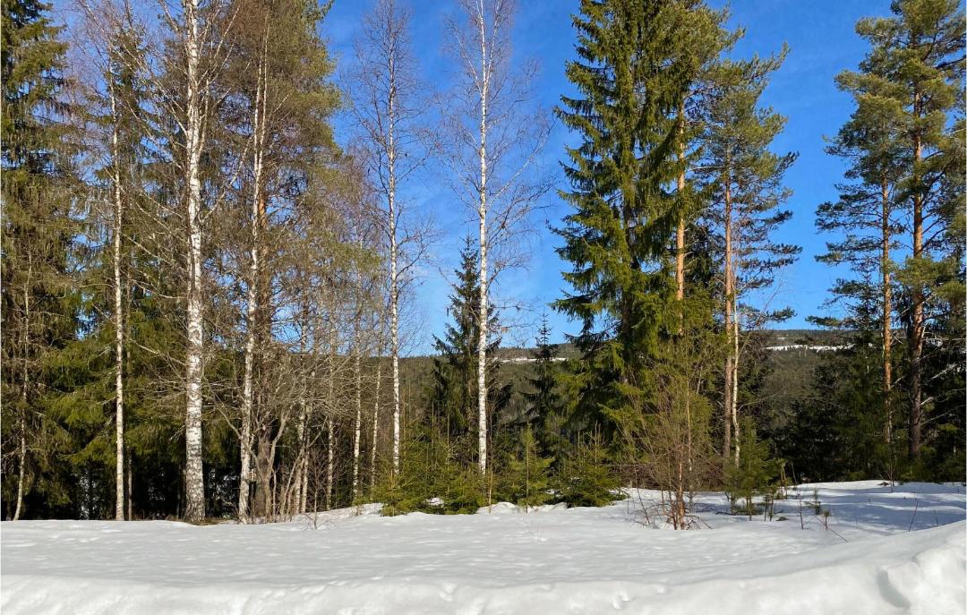Photo of Others in Syssleback