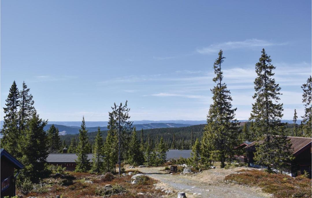 Photo of Others in Sjusjoen