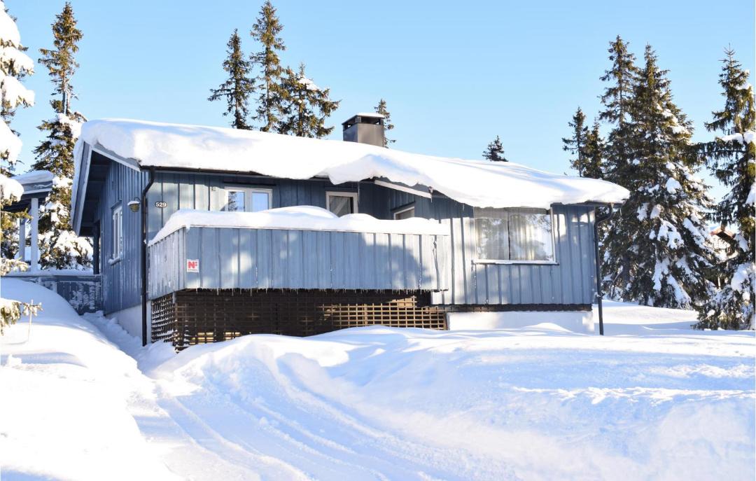Photo of Others in Sjusjoen