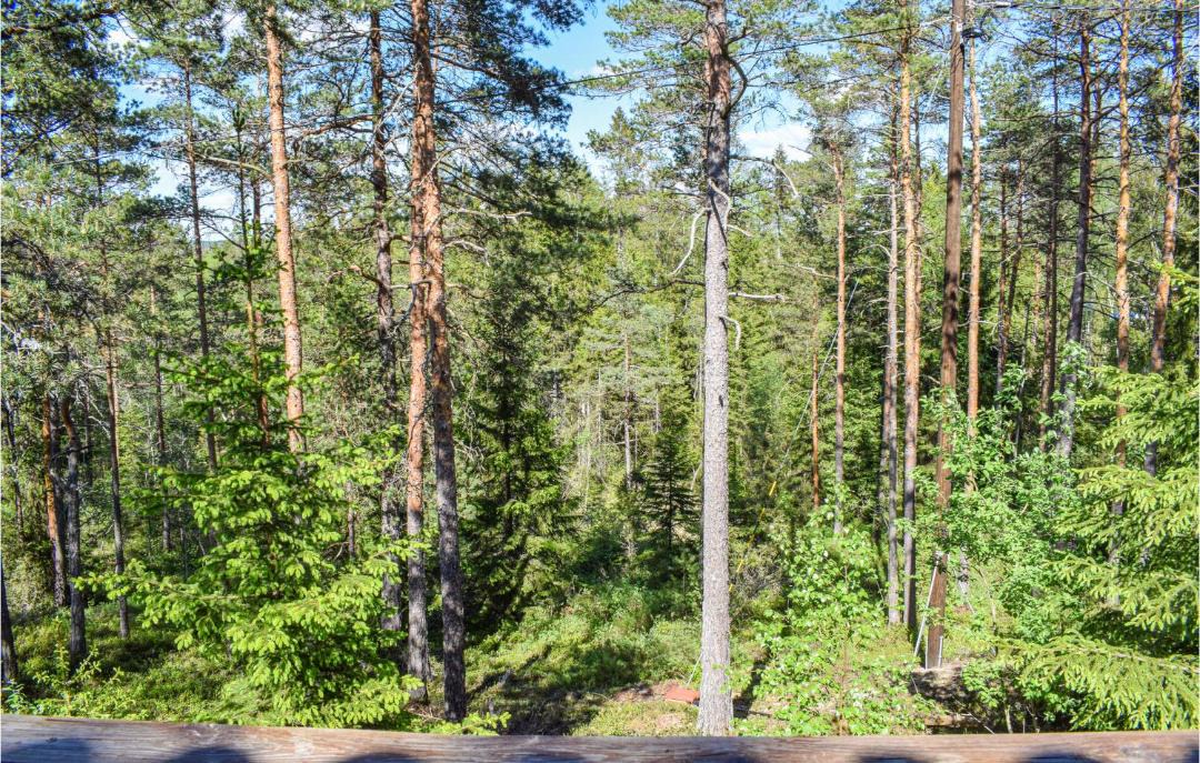 Photo of Others in Halden