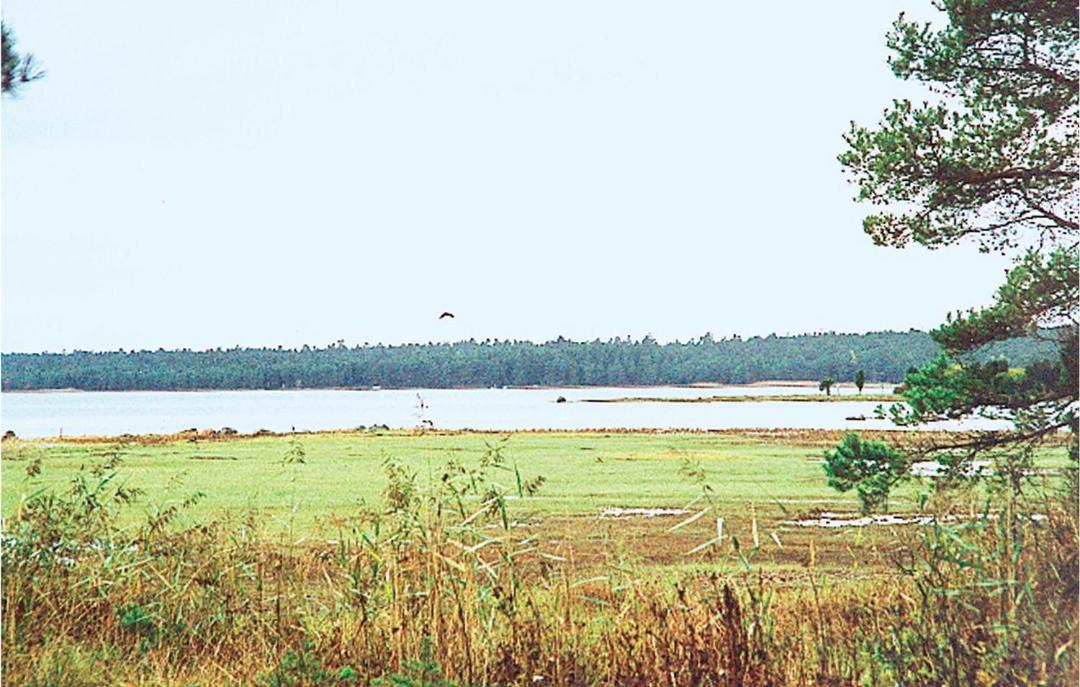Photo of Others in Larbro