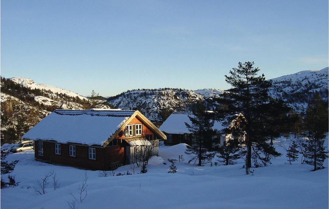 Photo of Others in Kvinesdal