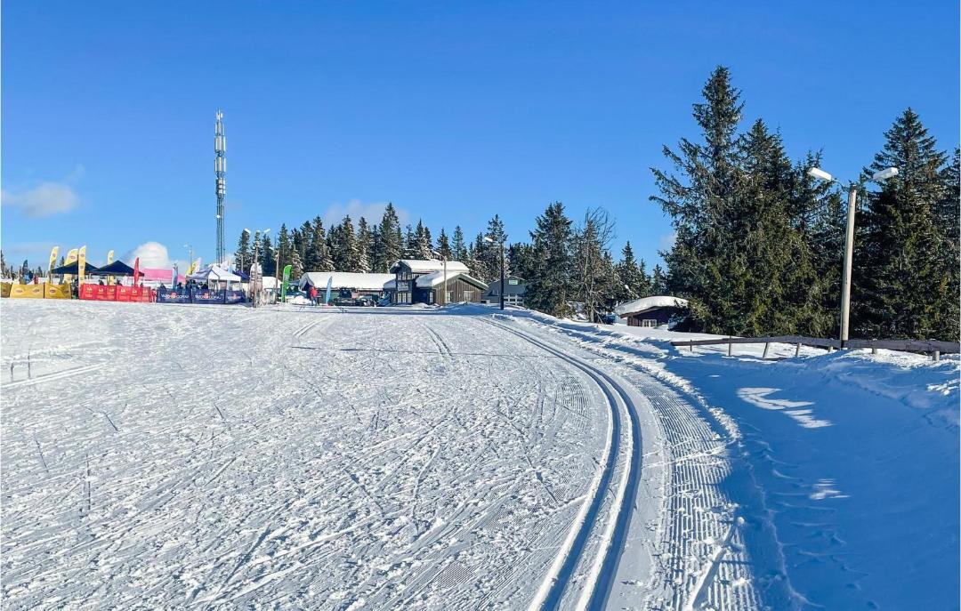 Photo of Others in Lillehammer