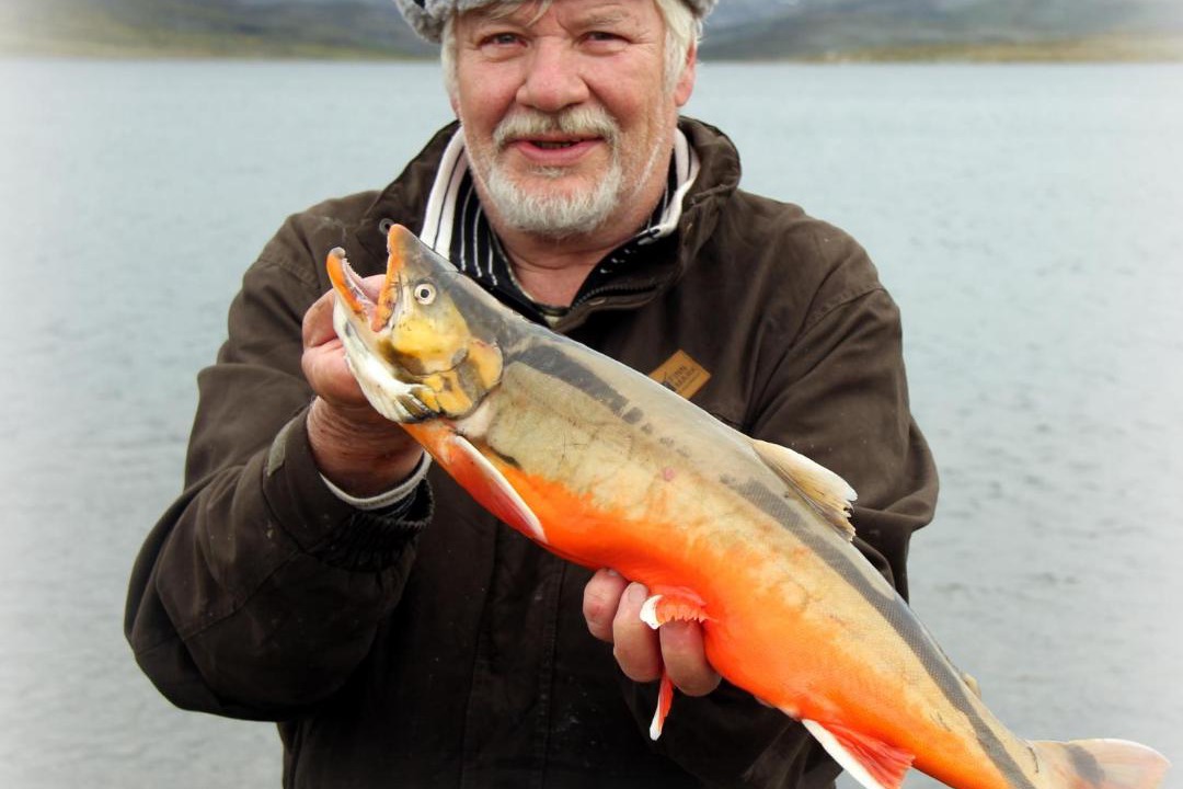 Photo of Others in Kilpisjarvi