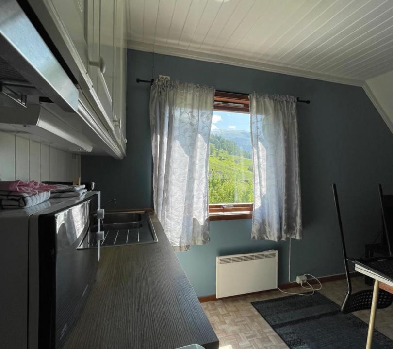 Photo of Others in Aurland