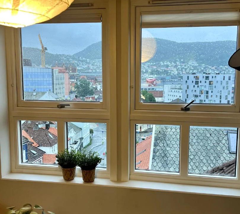 Photo of Others in Bergen City Centre