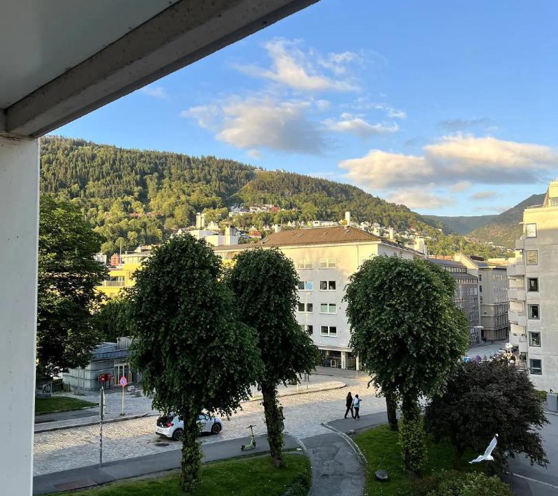 Photo of Others in Bergen City Centre