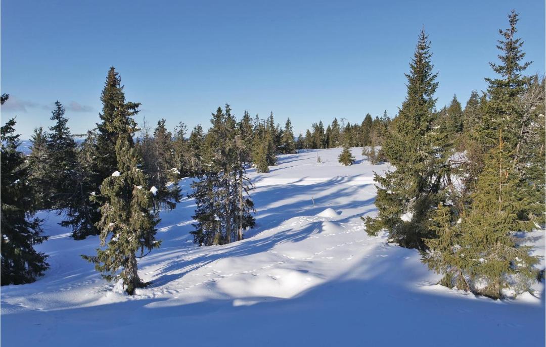 Photo of Others in Sjusjoen