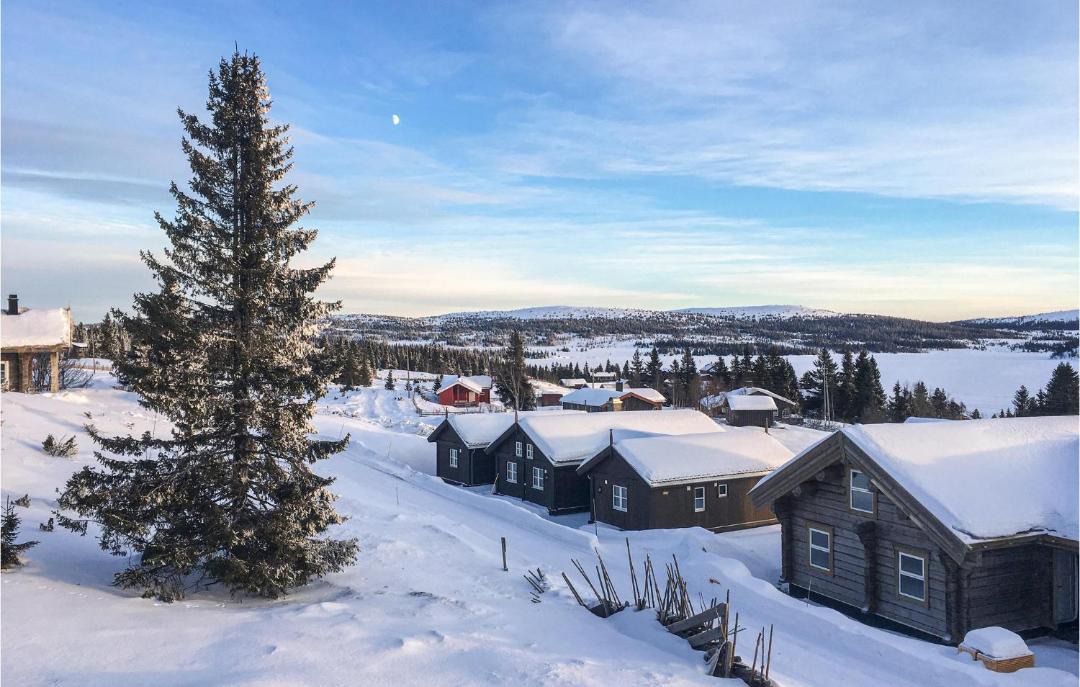 Photo of Others in Sjusjoen
