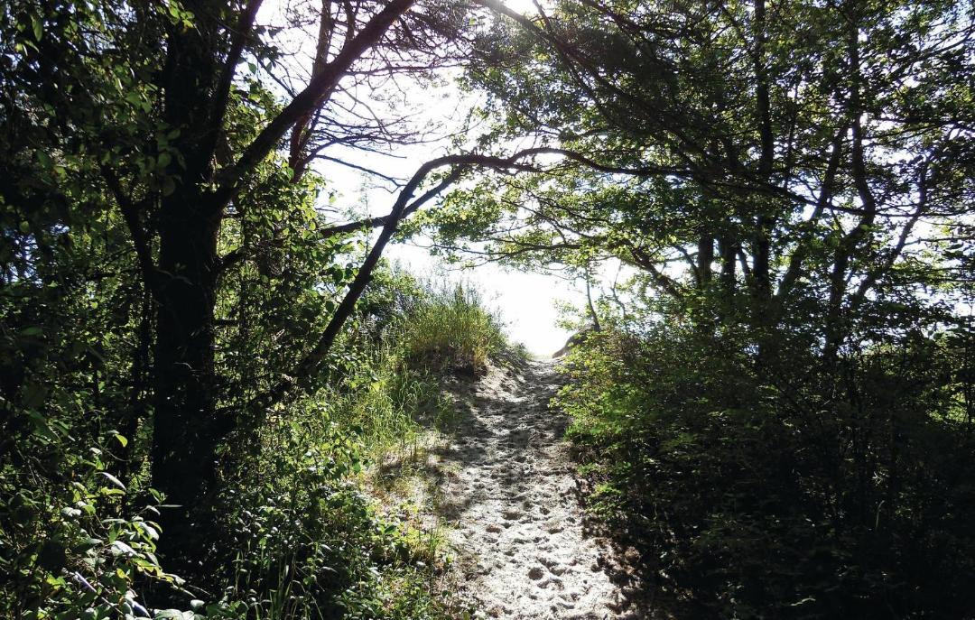 Photo of Outdoor in Borrby