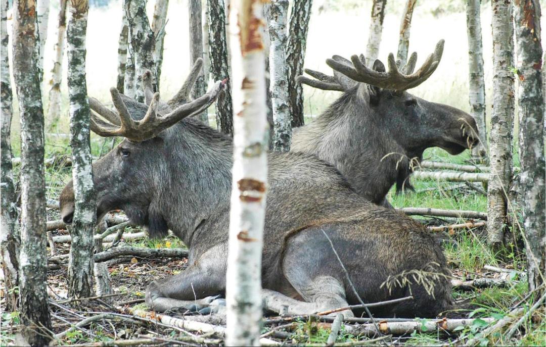 Photo of Others in Stoten