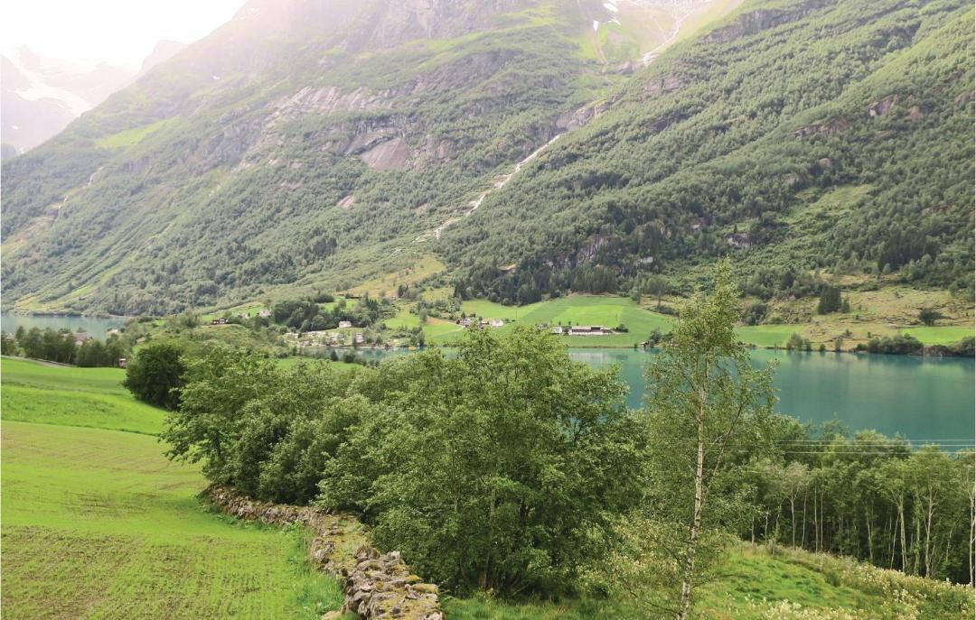 Photo of Others in Jostedal
