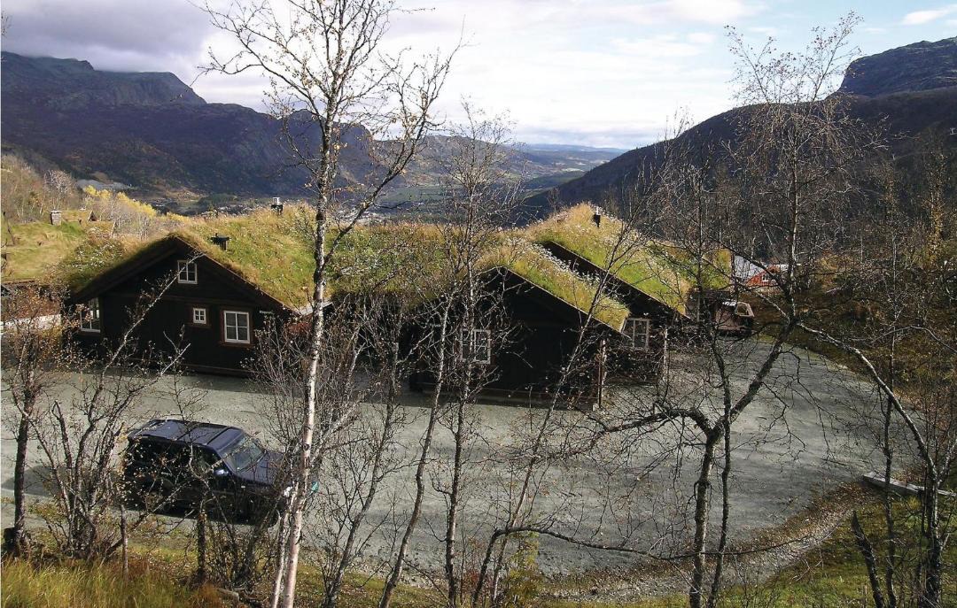 Photo of Others in Hemsedal