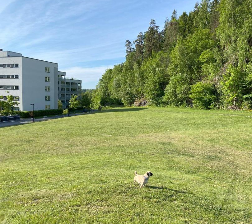 Photo of Others in Sandvika