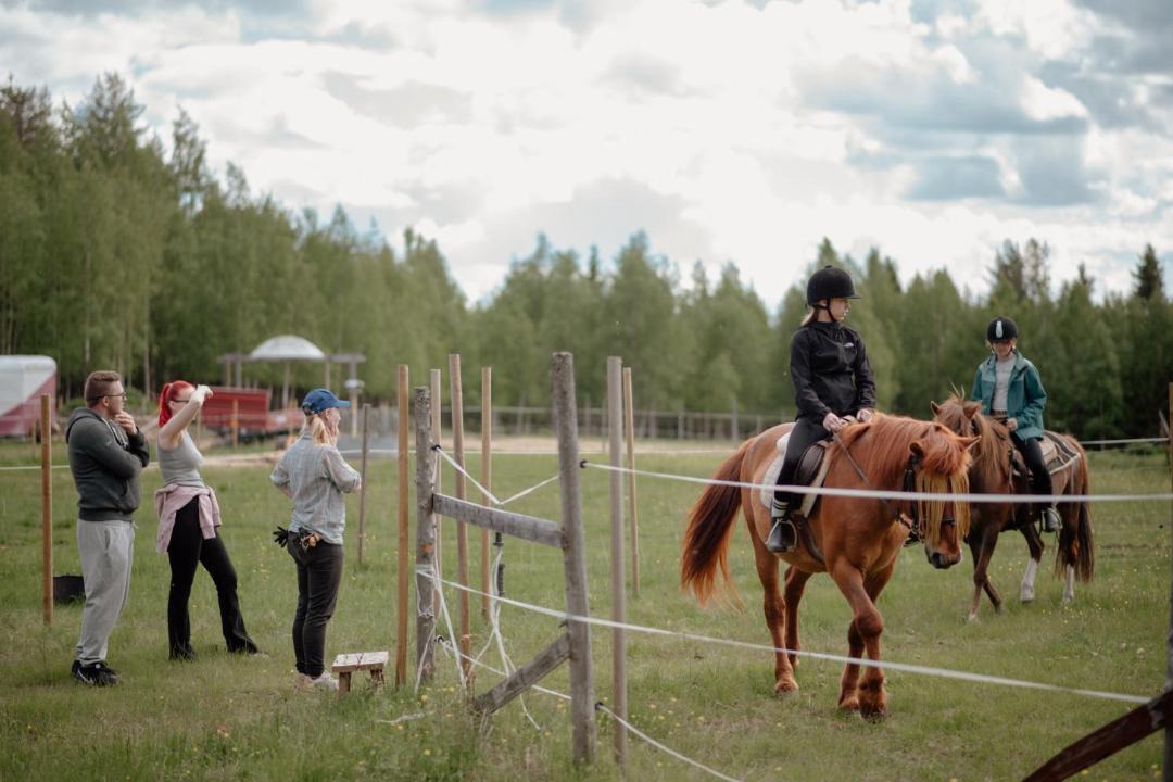 Photo of Others in Pello