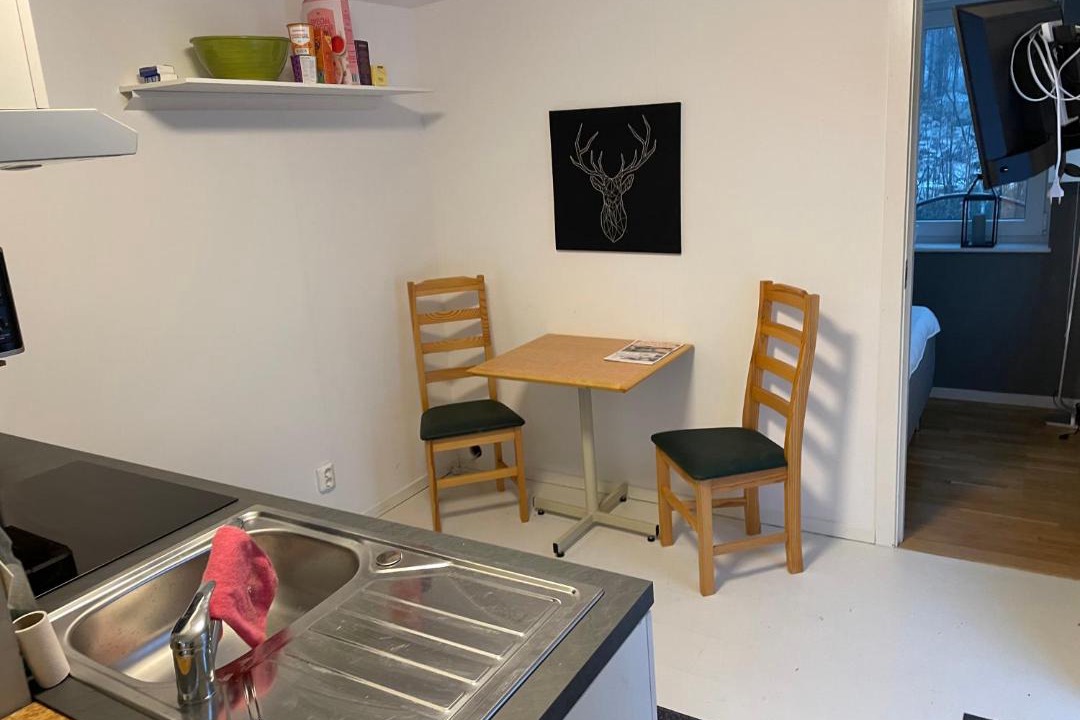 Photo of Livingroom in Idre