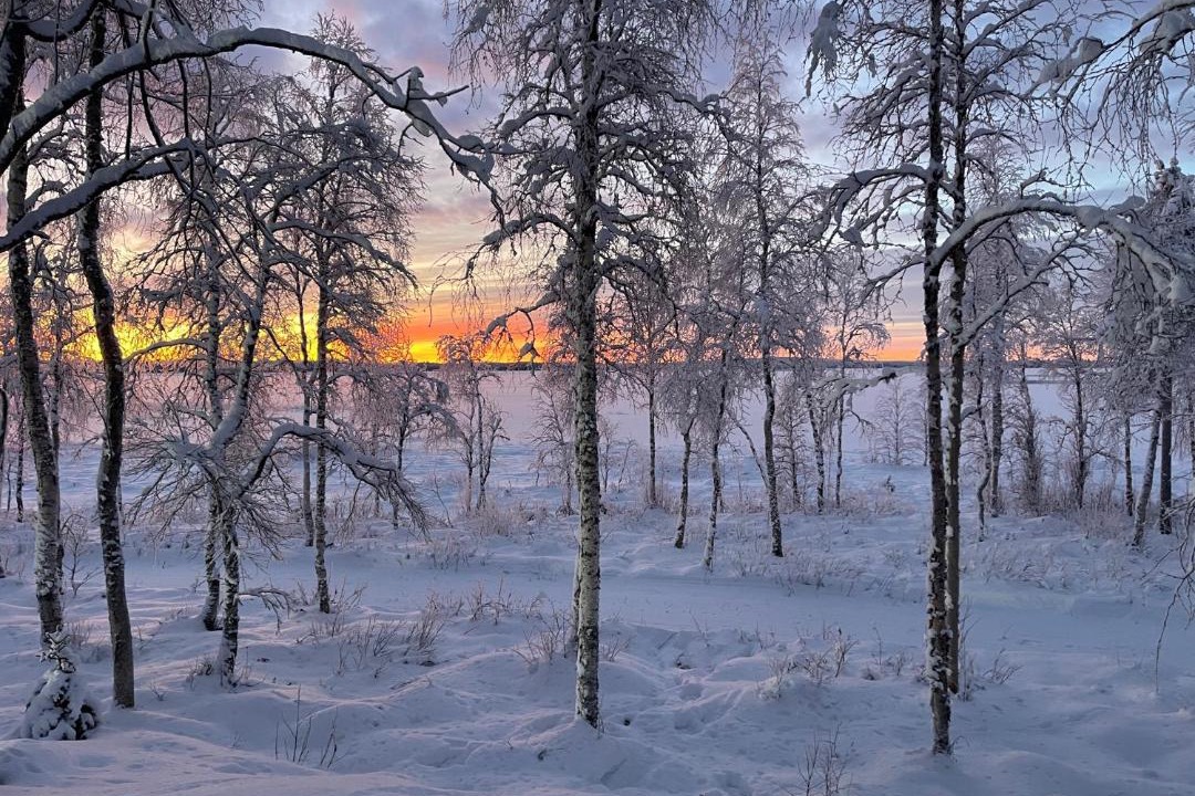 Photo of Others in Yllasjarvi