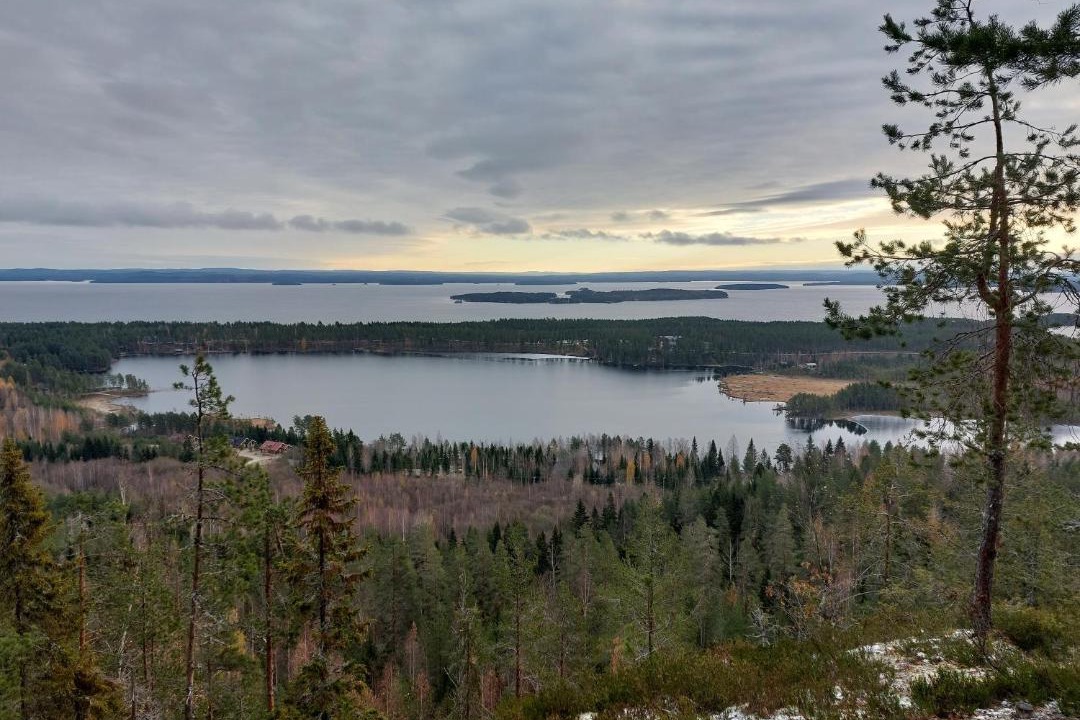 Photo of Others in Koli National Park