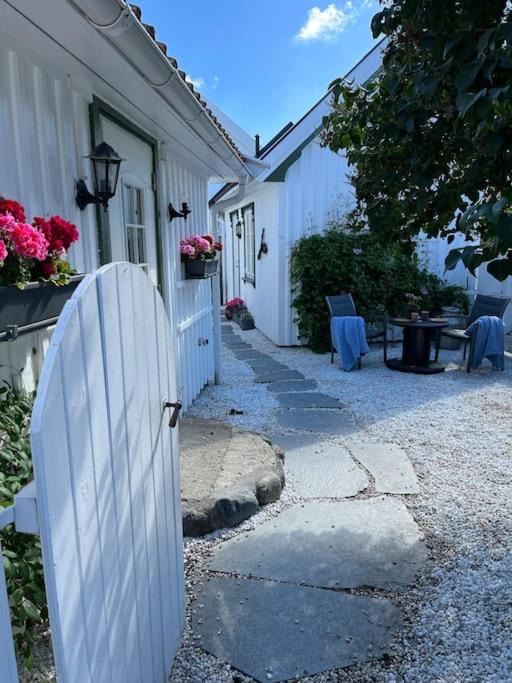 Photo of Others in Larvik