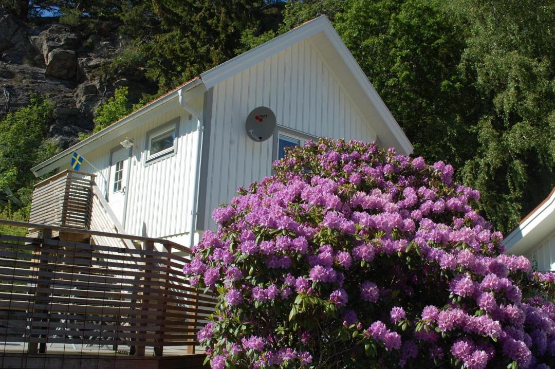 Photo of Buildings in Ljungskile